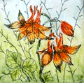Sonderausstellung Sonderausstellung